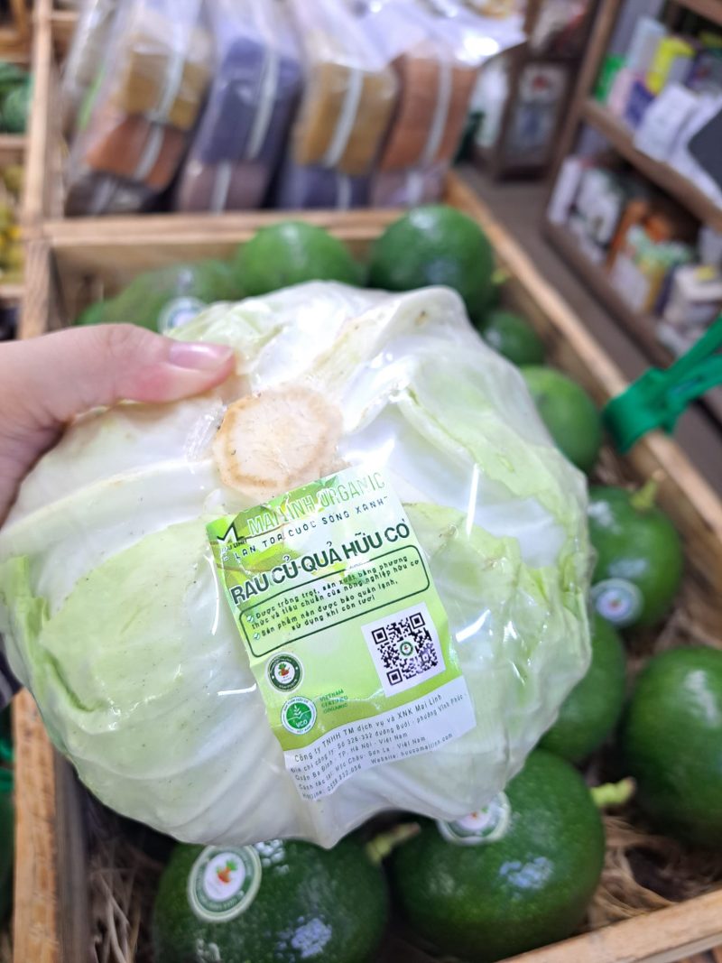 Bắp cải hữu cơ Mai Linh organic