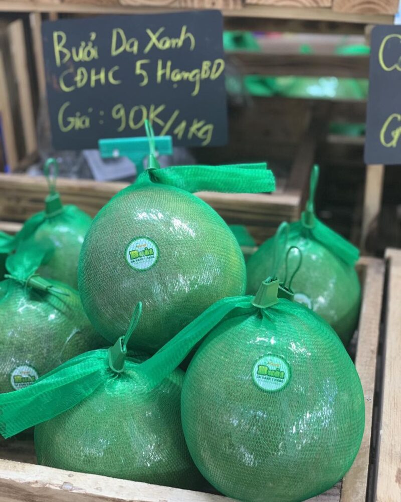Bưởi da xanh trồng chuyển đổi hữu cơ HTX Năm Hạng Bình Dương - Hình ảnh 7