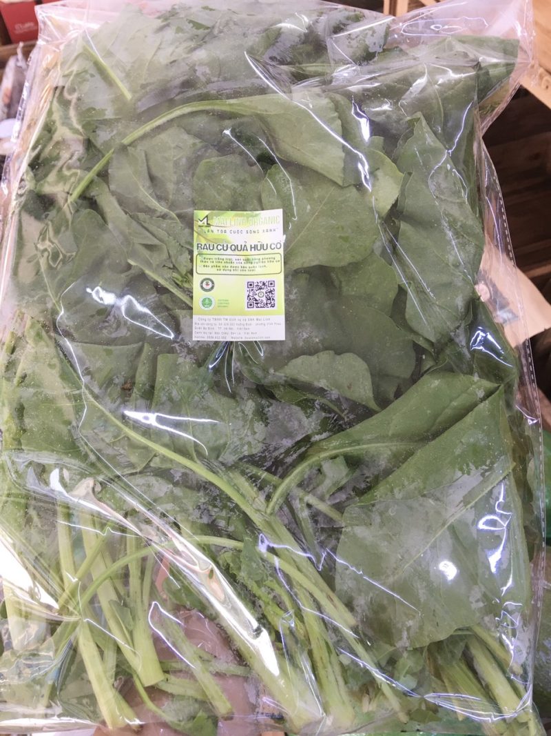 Cải bó xôi hữu cơ Mai Linh Organic Farm