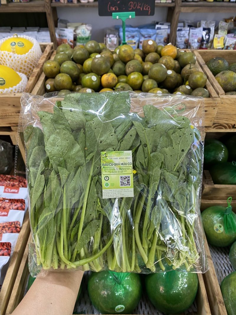 Cải ngọt hữu cơ Mai Linh organic