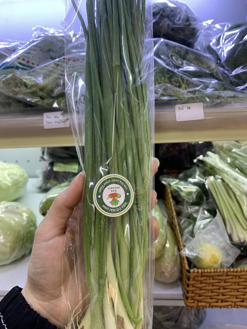 Hành lá hữu cơ Mai Linh Organic Farm