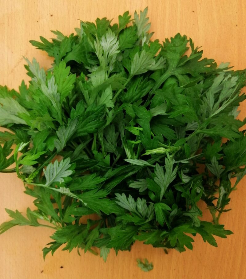 Ngải cứu hữu cơ Đại Ngàn Farm - Hình ảnh 3