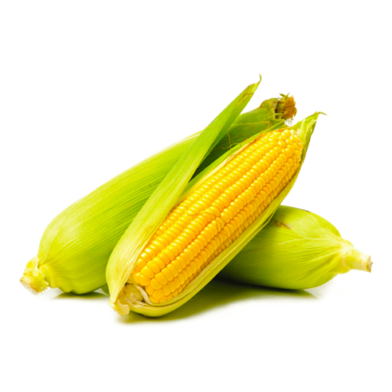 Ngô ngọt hữu cơ Bắc Sơn farm