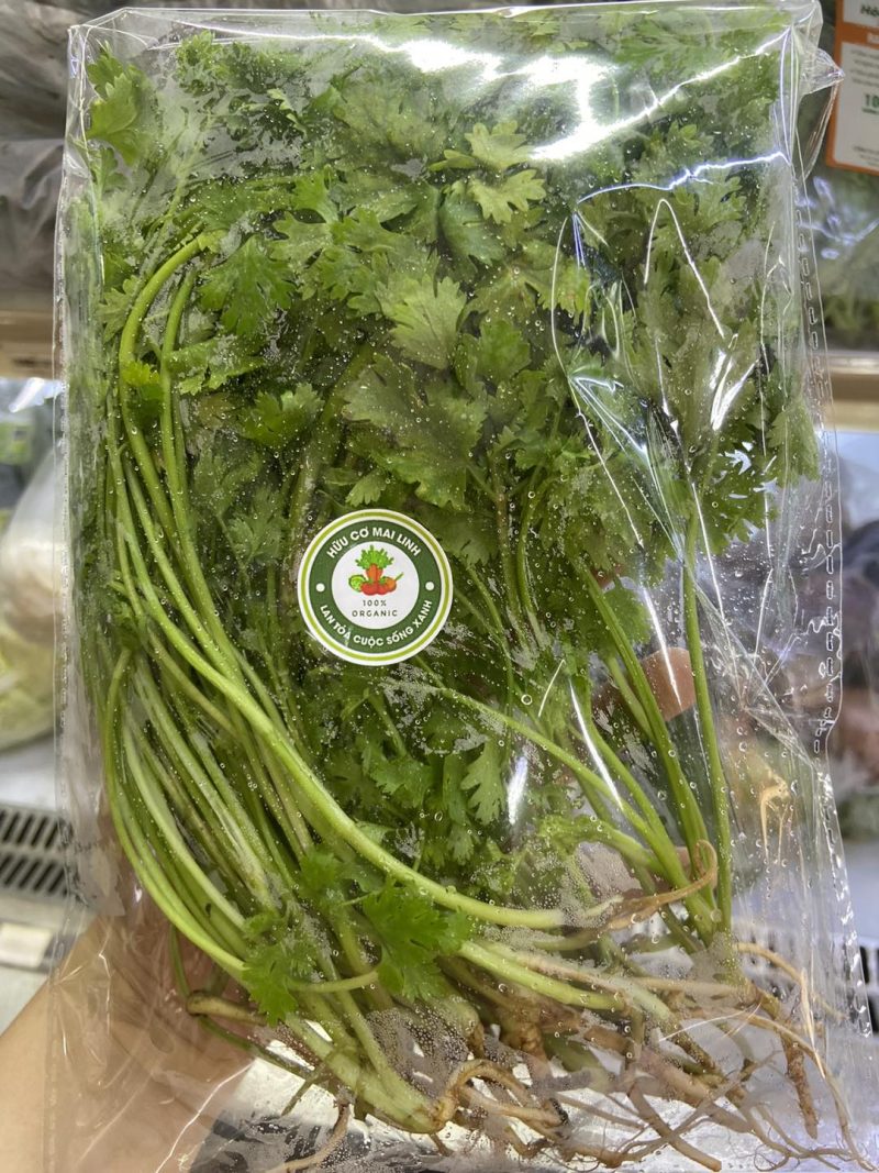 Rau mùi ta hữu cơ Mai Linh Organic Farm