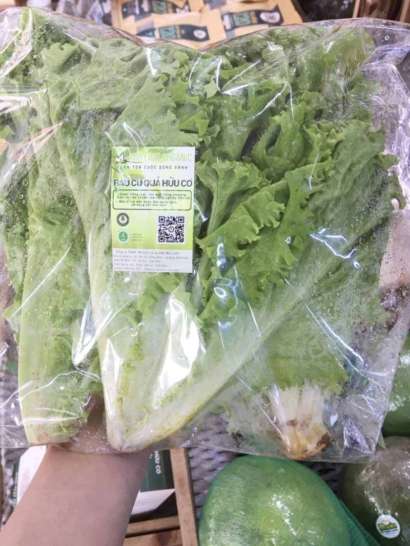 Xà lách giòn hữu cơ Mai Linh Organic Farm
