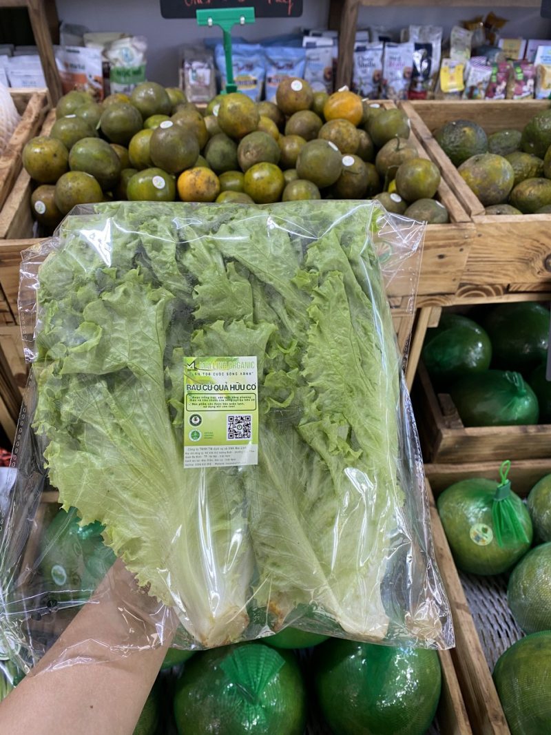 Xà lách xoăn hữu cơ Mai Linh Organic Farm