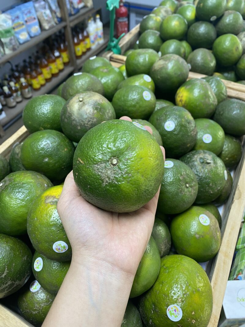 Cam Sành hữu cơ Hiếu Liêm - Kg - Hình ảnh 4