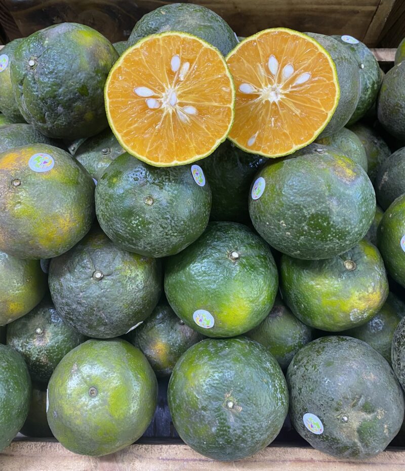 Cam Sành hữu cơ Hiếu Liêm - Kg - Hình ảnh 2