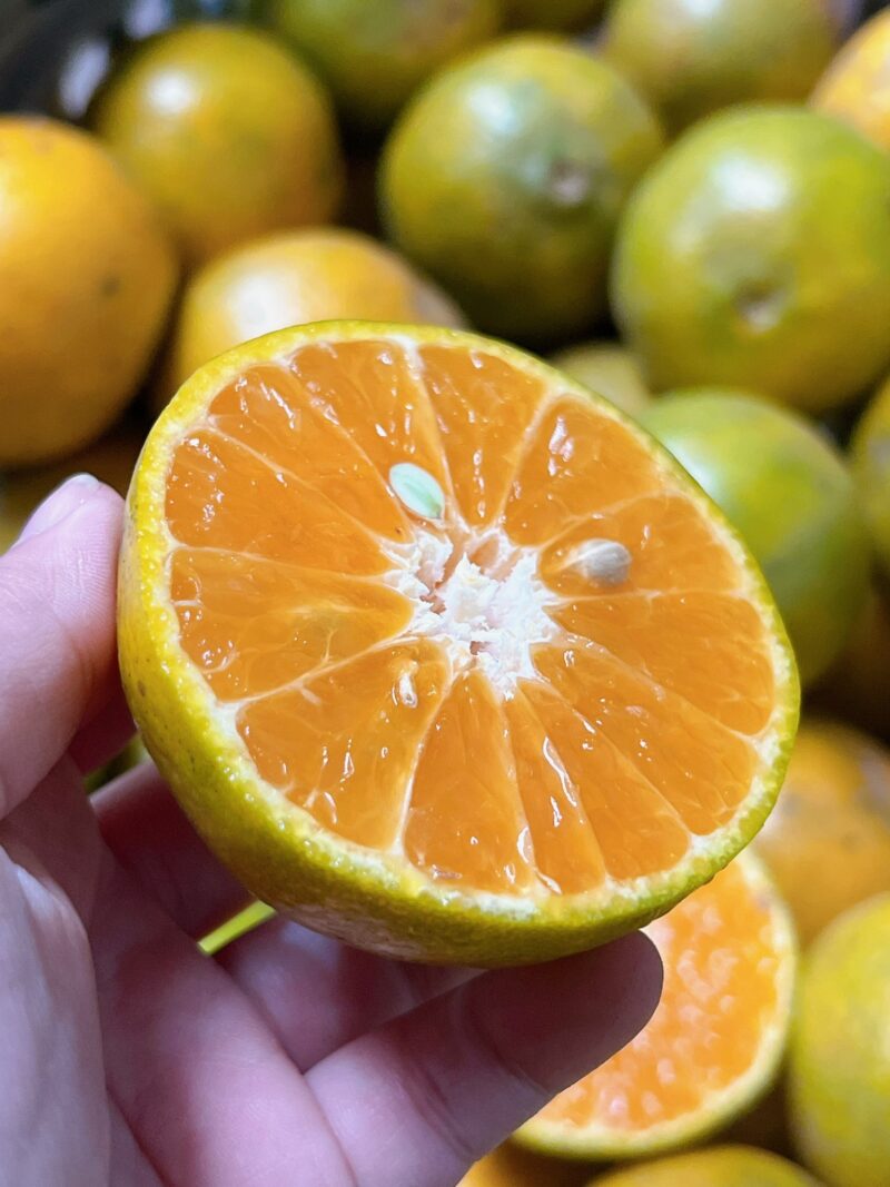 Quýt đường hữu cơ Hiếu Liêm - Kg - Hình ảnh 5