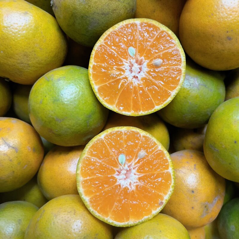 Quýt đường hữu cơ Hiếu Liêm - Kg - Hình ảnh 6