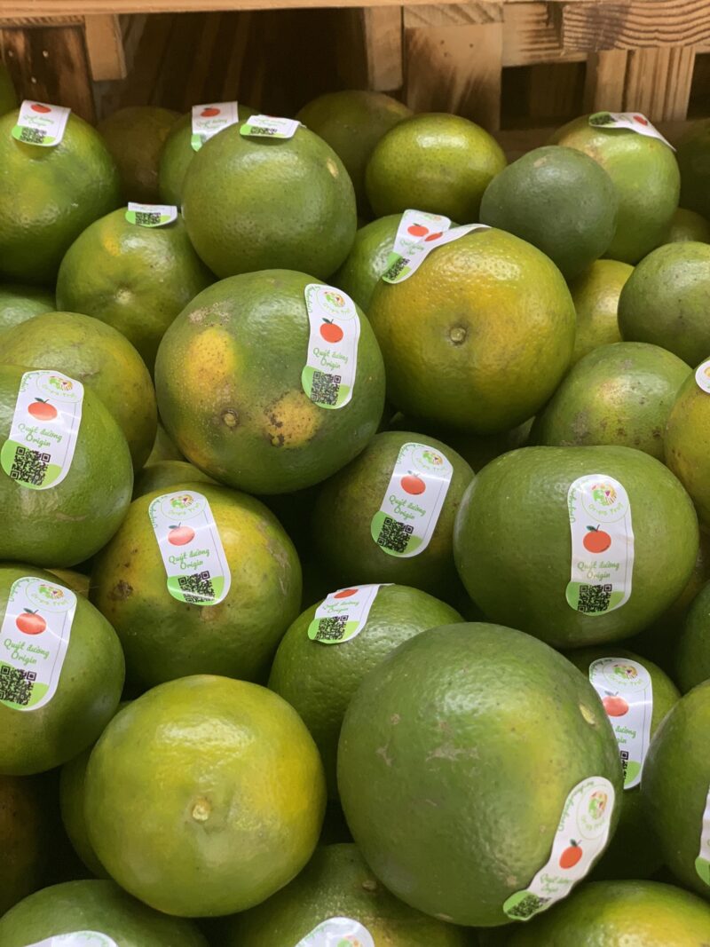 Quýt đường hữu cơ Hiếu Liêm - Kg - Hình ảnh 7