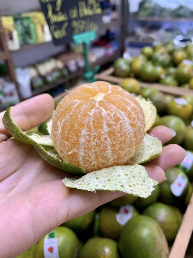 Quýt đường hữu cơ Hiếu Liêm - Kg - Hình ảnh 3