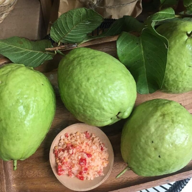 Ổi lê hữu cơ Vinh Hà Farm - Kg - Hình ảnh 2