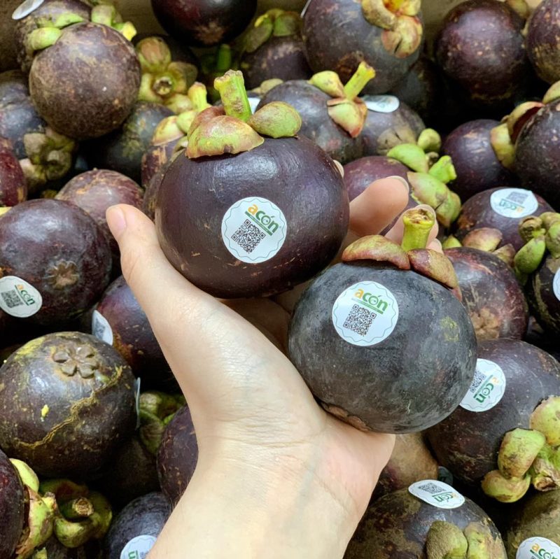 Măng cụt canh tác không hoá chất Vicas - Acon - kg