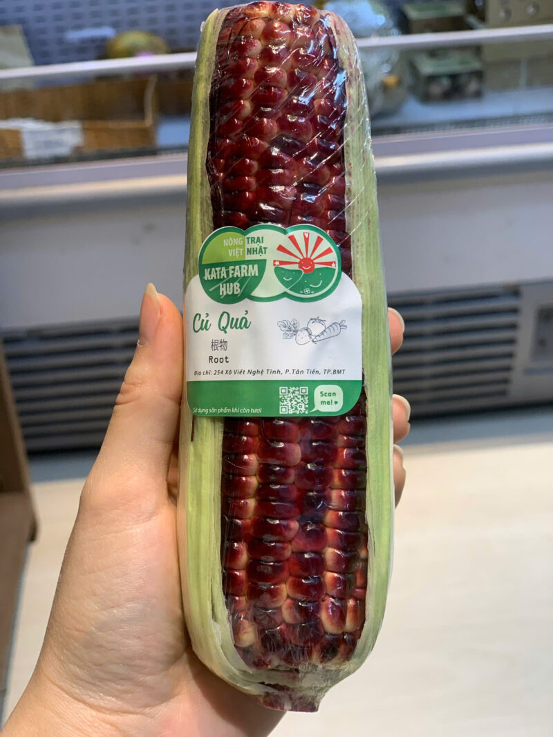 Bắp (ngô) nữ hoàng đỏ hữu cơ Kata Farm - Kg