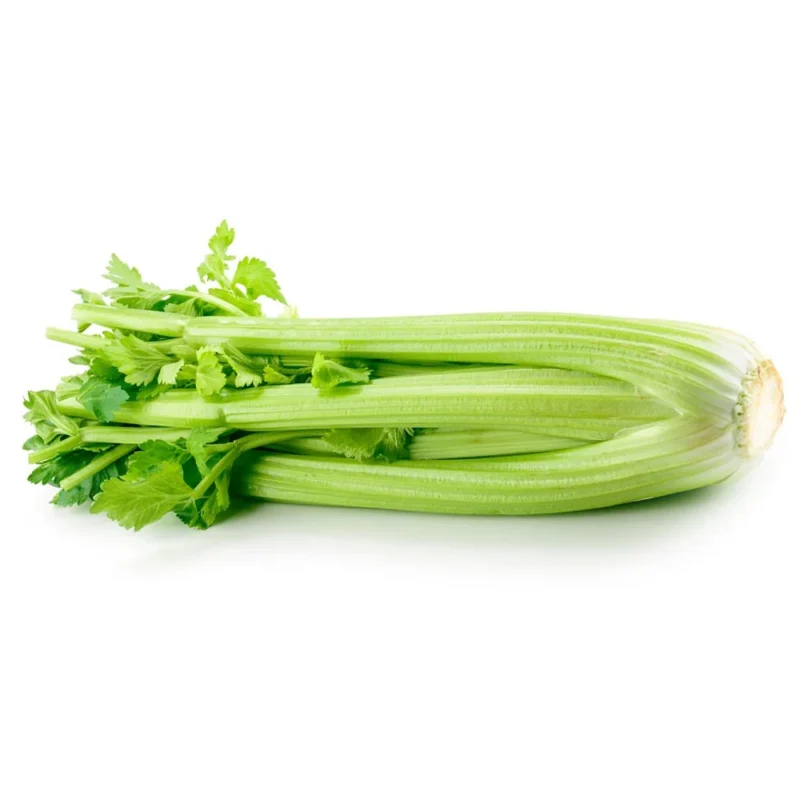 Cần tây ép nước hữu cơ Vinh Hà Farm
