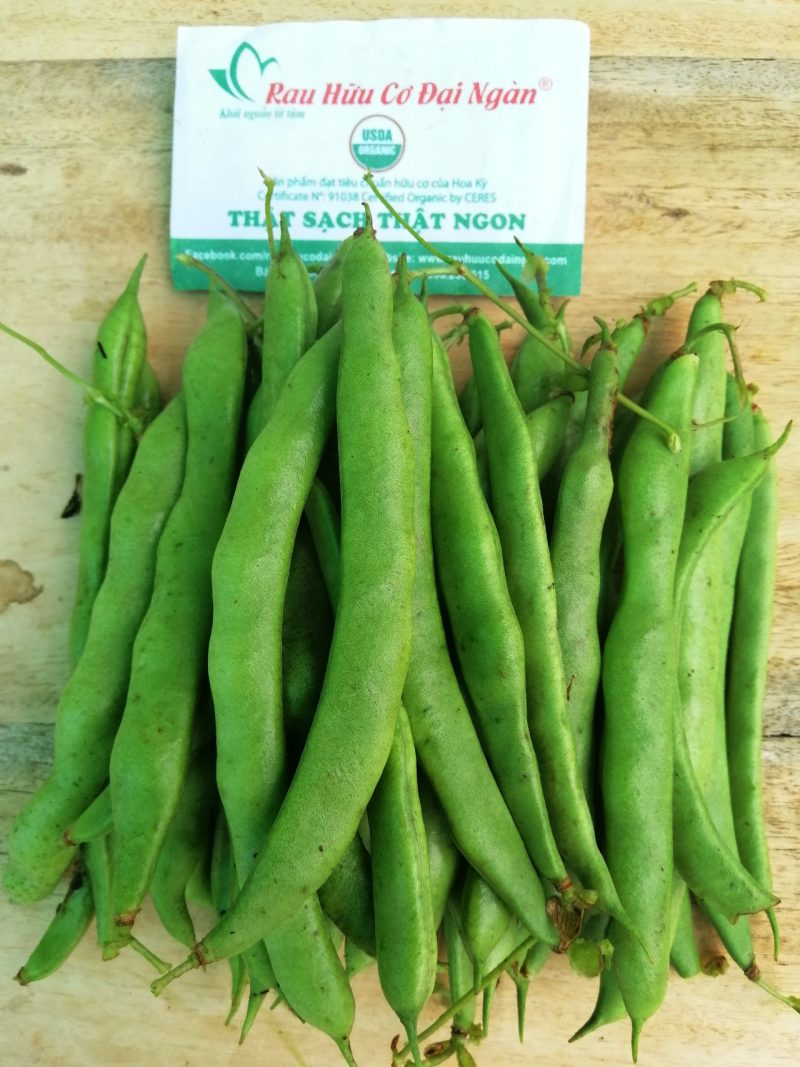 Đậu cove hữu cơ Đại Ngàn Farm