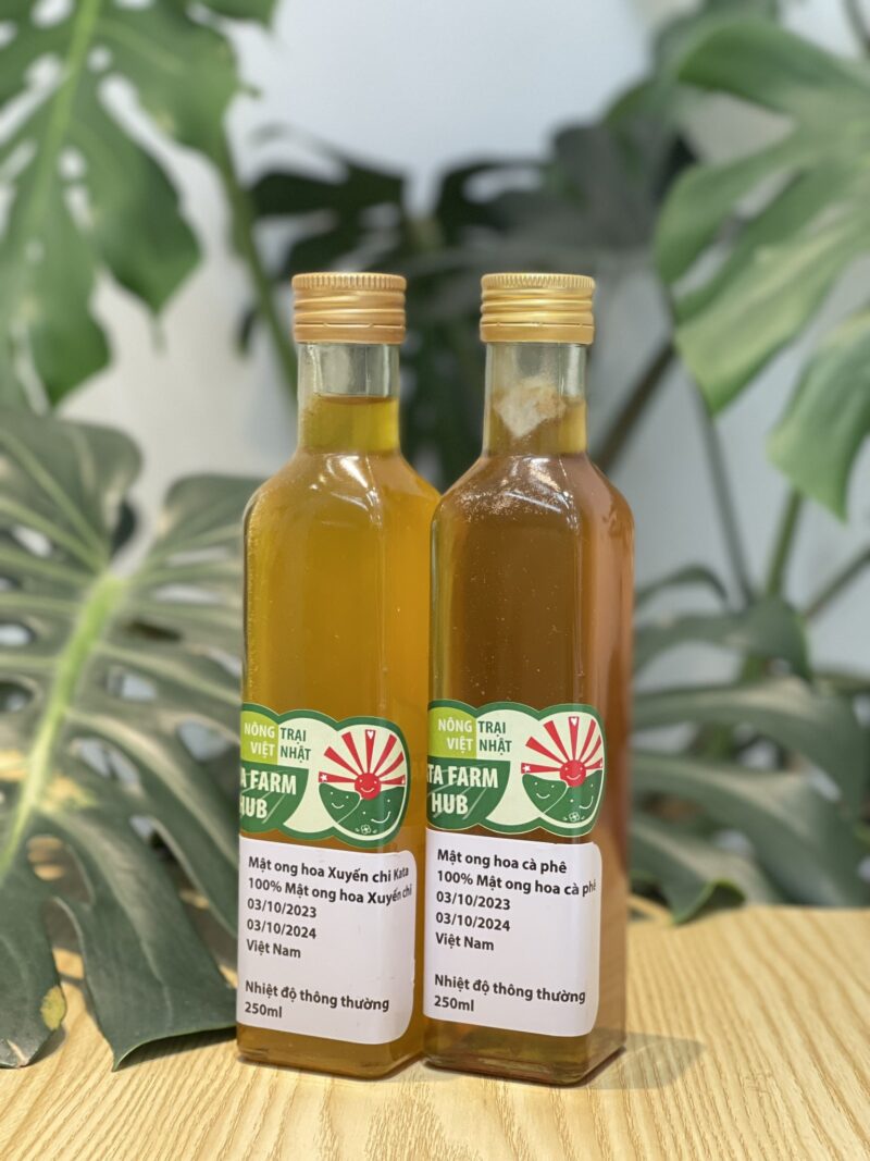 Mật ong hoa xuyến chi