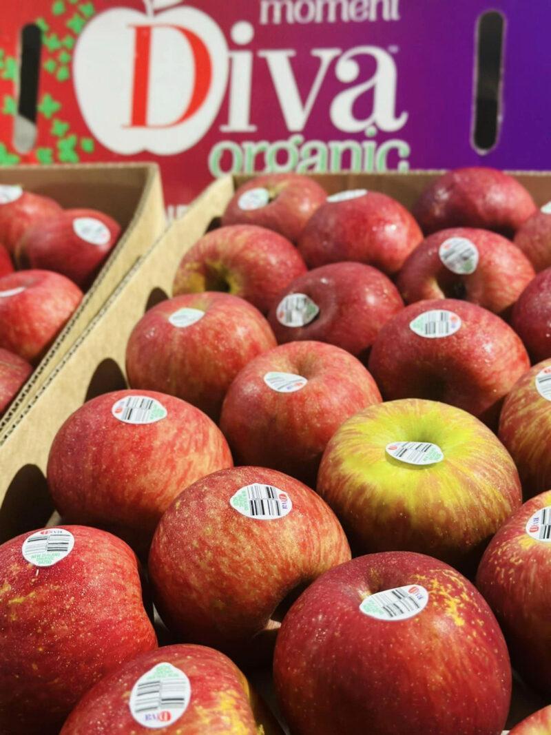 Táo Diva hữu cơ size 90 - Kg - Hình ảnh 5