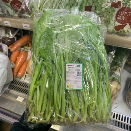 Rau cải xanh hữu cơ Vinh Hà Farm