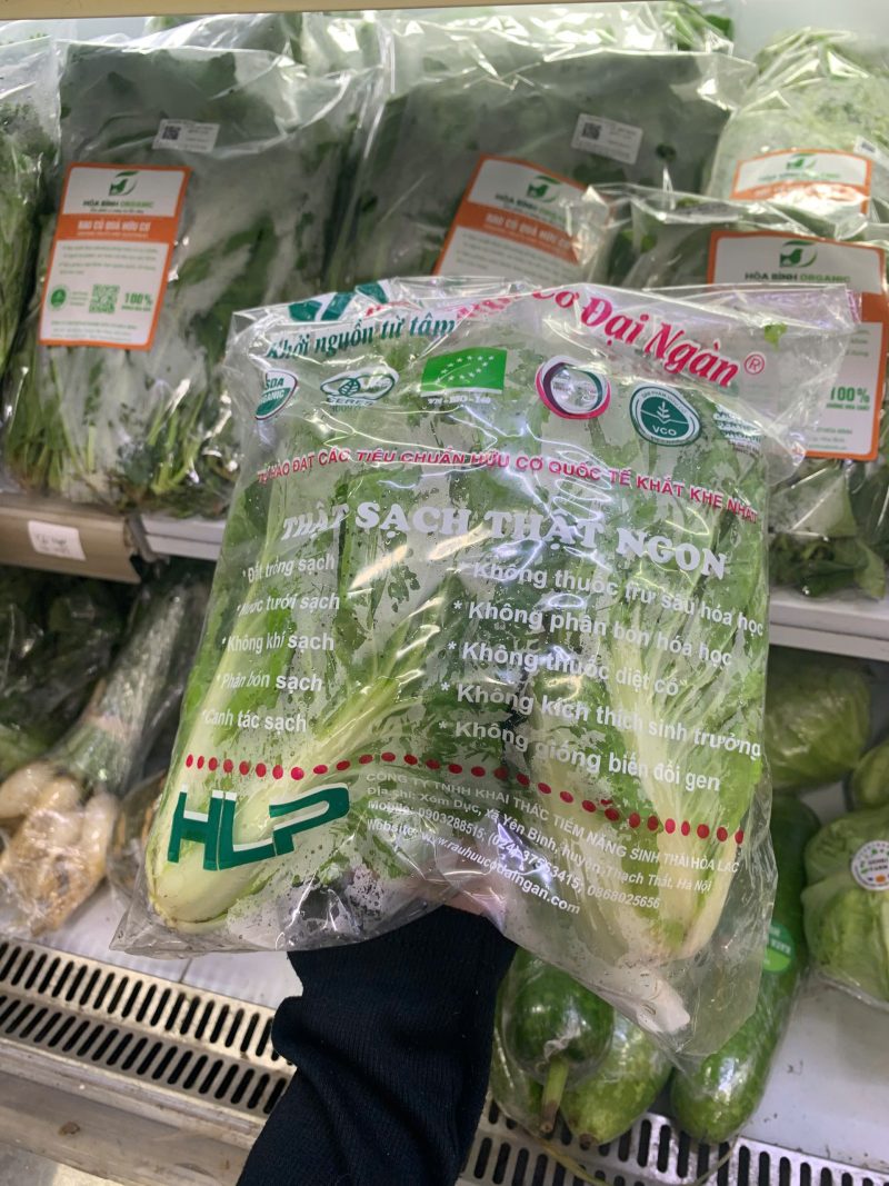 Cải thảo hữu cơ Đại ngàn farm