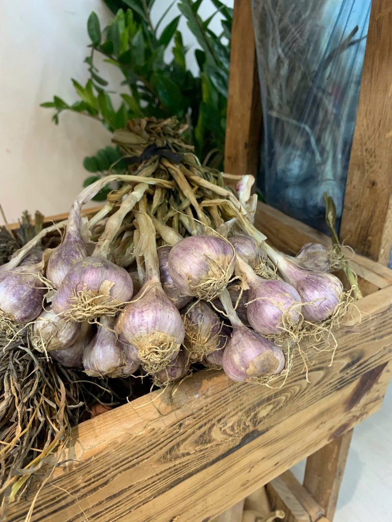 Tỏi tía khô hướng hữu cơ theo tiêu chuẩn PGS Thuận Thiên Farm Mộc Châu - Kg