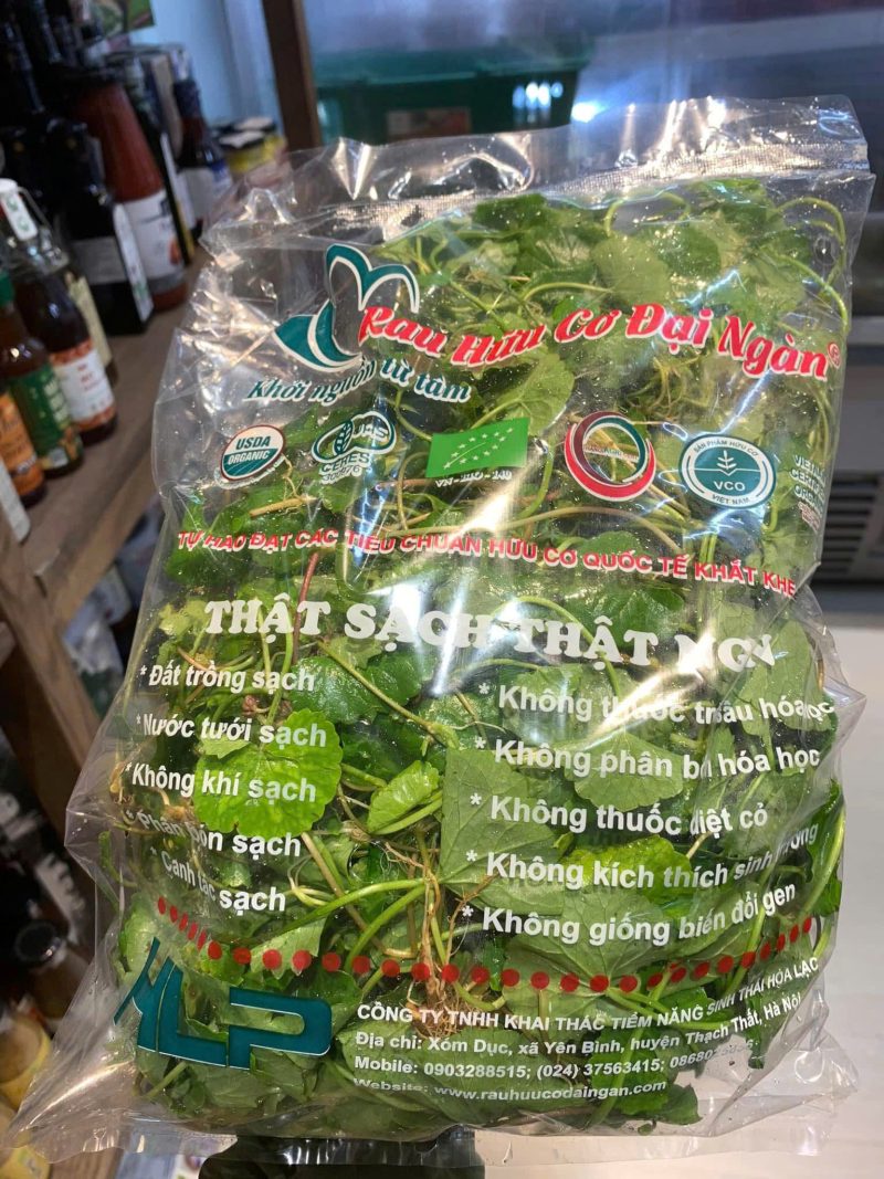 Rau má ta hữu cơ Đại Ngàn